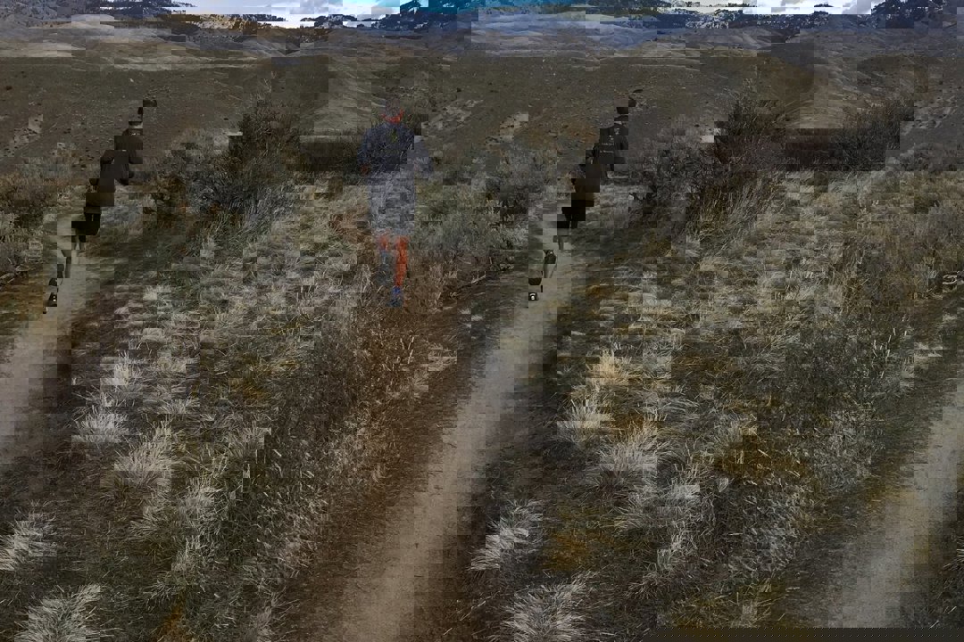 Foothills Runner