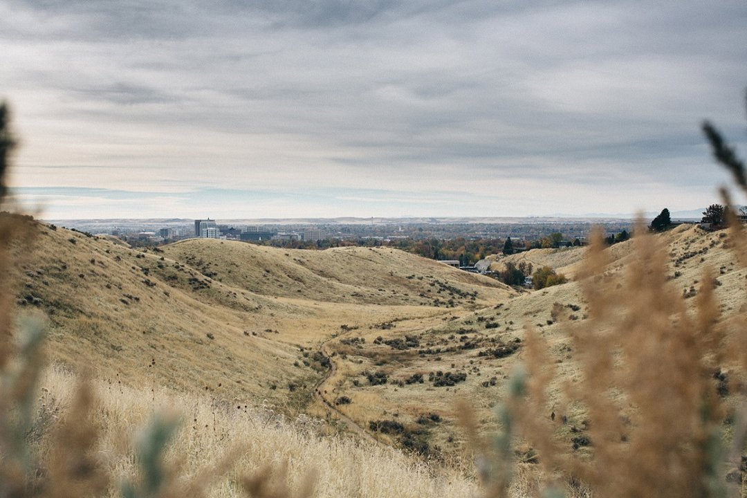 Hillside To The Hollow