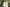 Oregontrailreserveflower 375X281