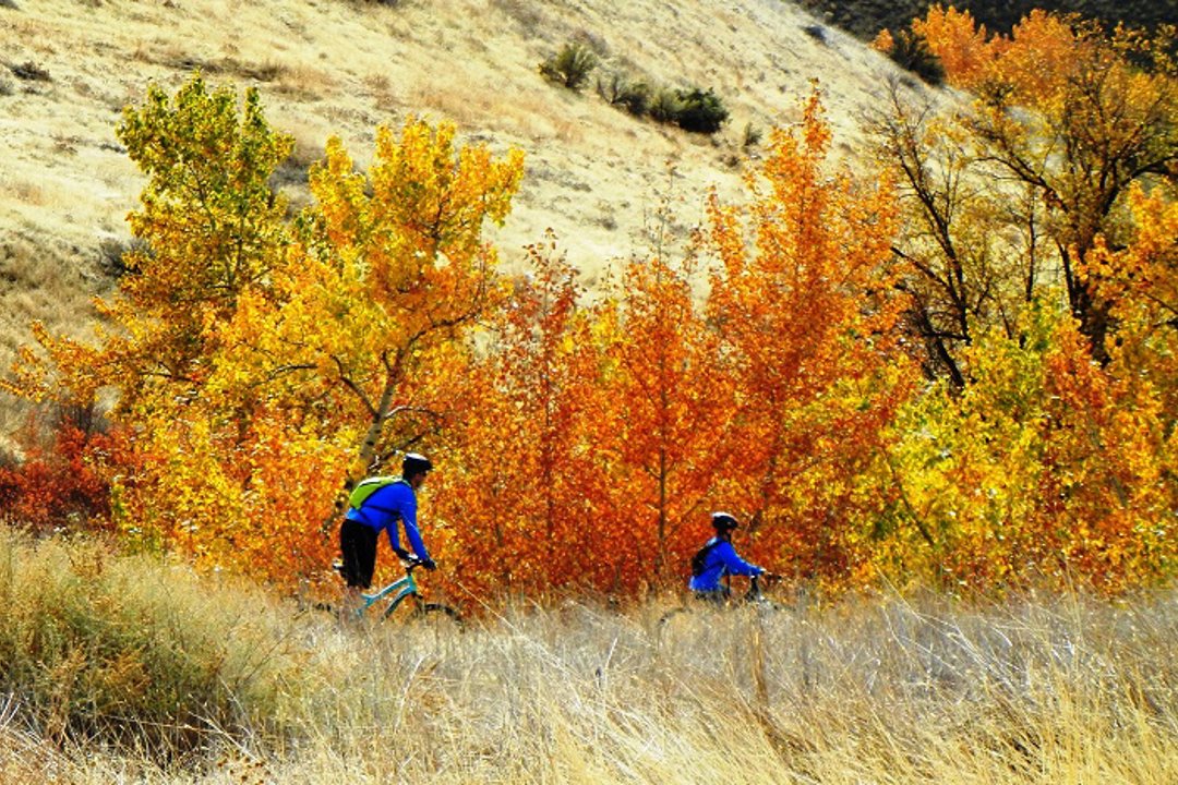 Fall Colors Mountain Bike Riders