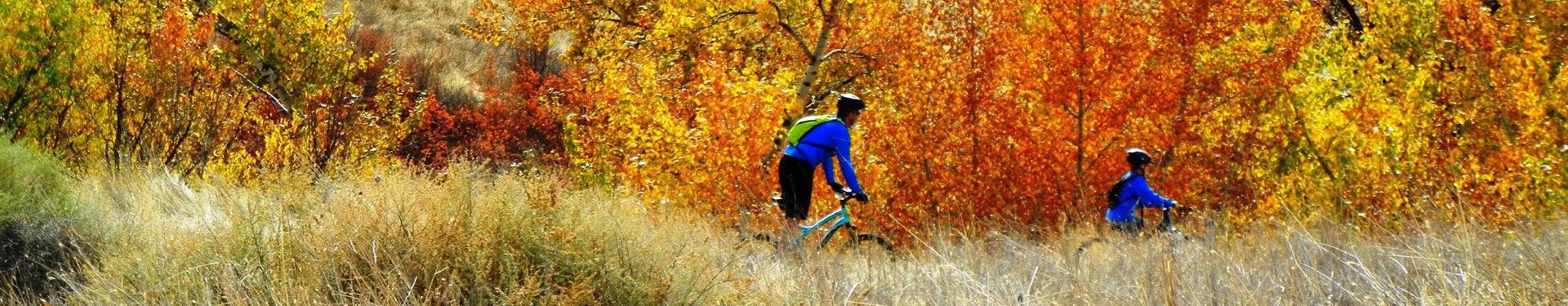 Fall Bikes Foothills